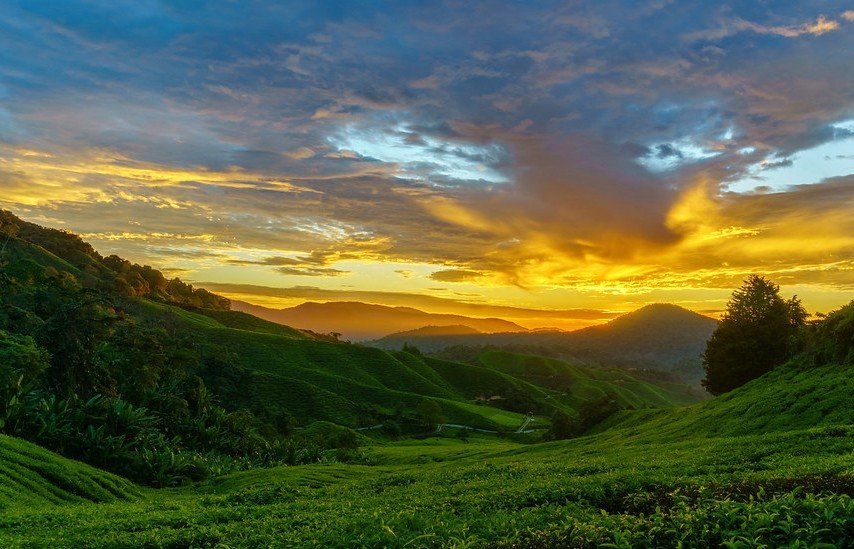 CAMERON HIGHLANDS