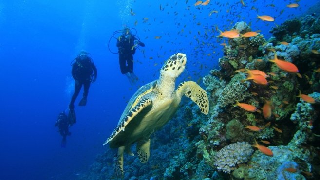 SCUBA DIVING