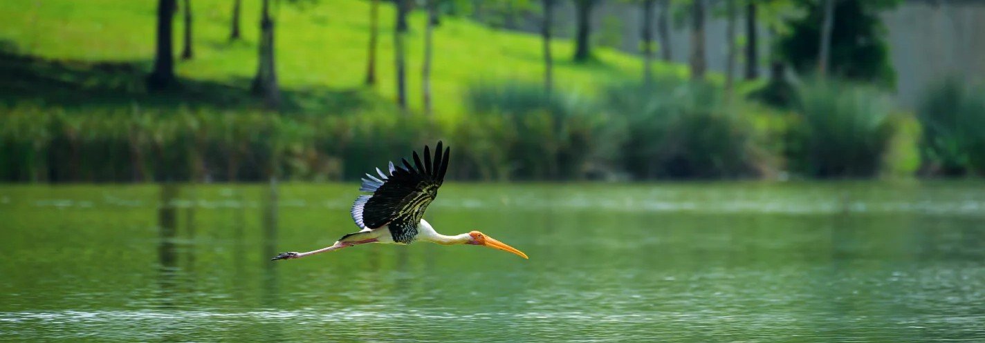 Putrajaya Wetlands Park