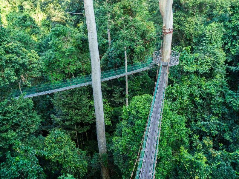 DANUM VALLEY