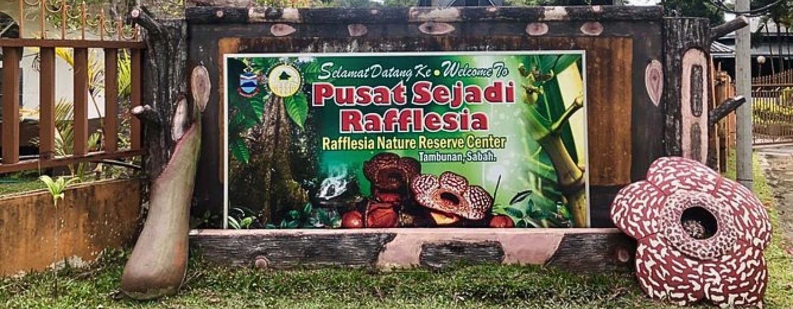 Rafflesia Flower Sabah