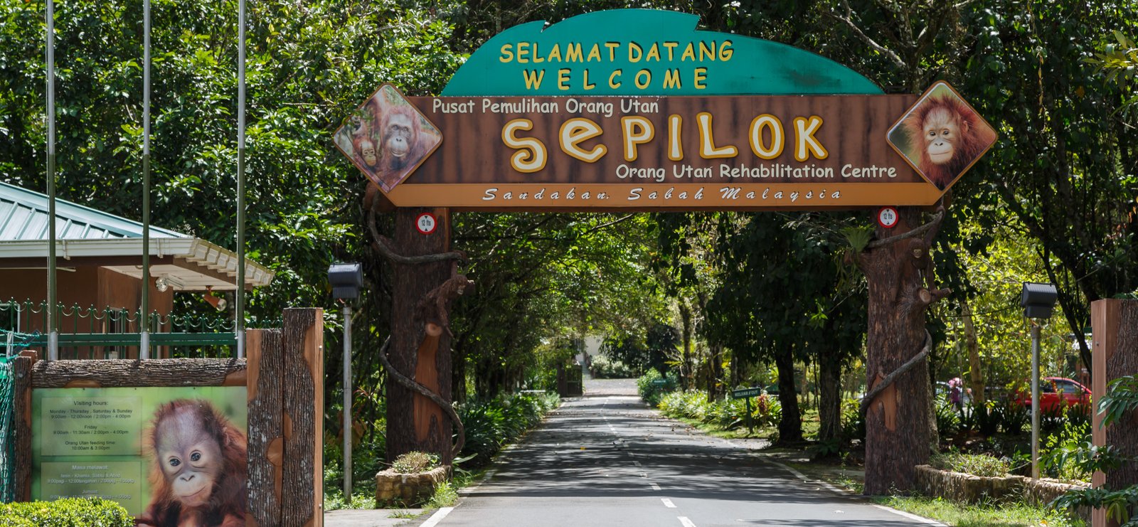Sepilok Orangutan Rehabilitation Centre