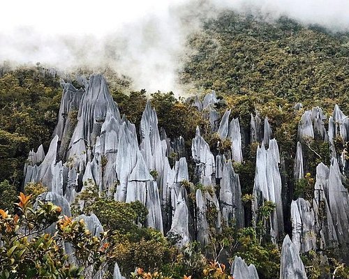 GUNUNG MULU<br> NATIONAL PARK