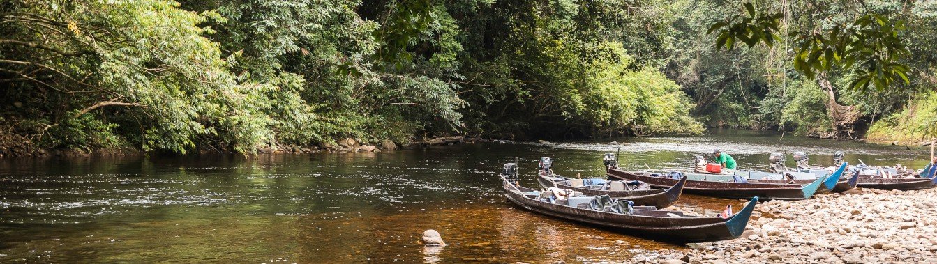 Lata Berkoh Taman Negara