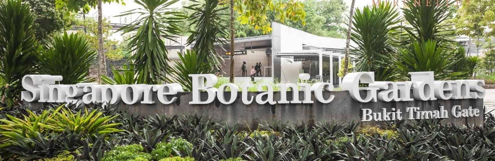 Singapore Botanic Gardens - Singapore