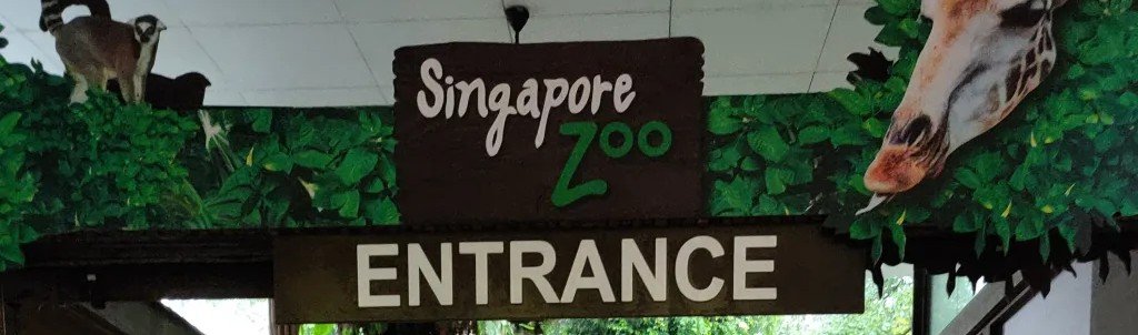 Singapore Zoo - Singapore