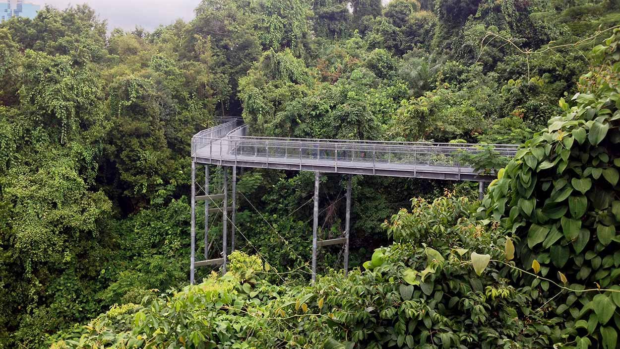 SOUTHERN RIDGES