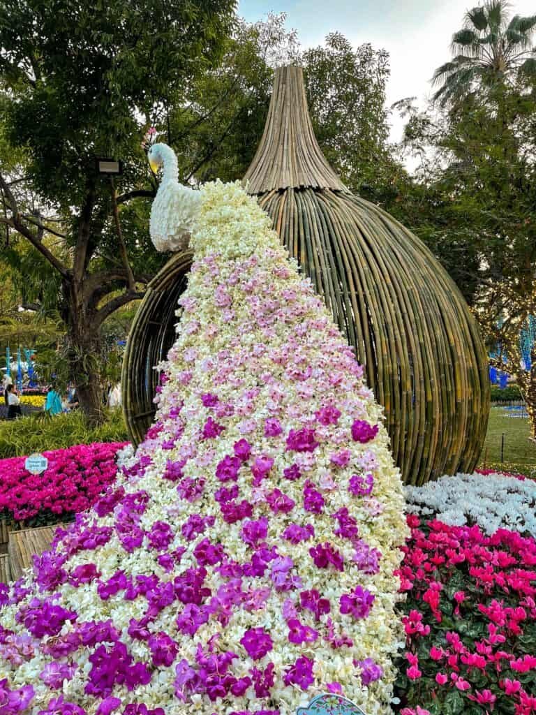 Chiang Mai Flower Festival