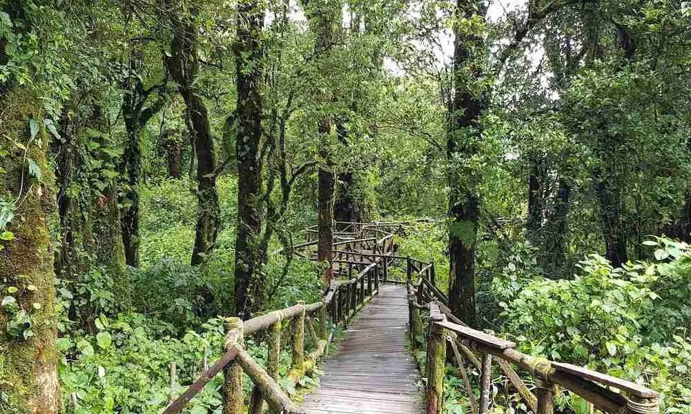 DOI INTHANON<br> NATIONAL PARK