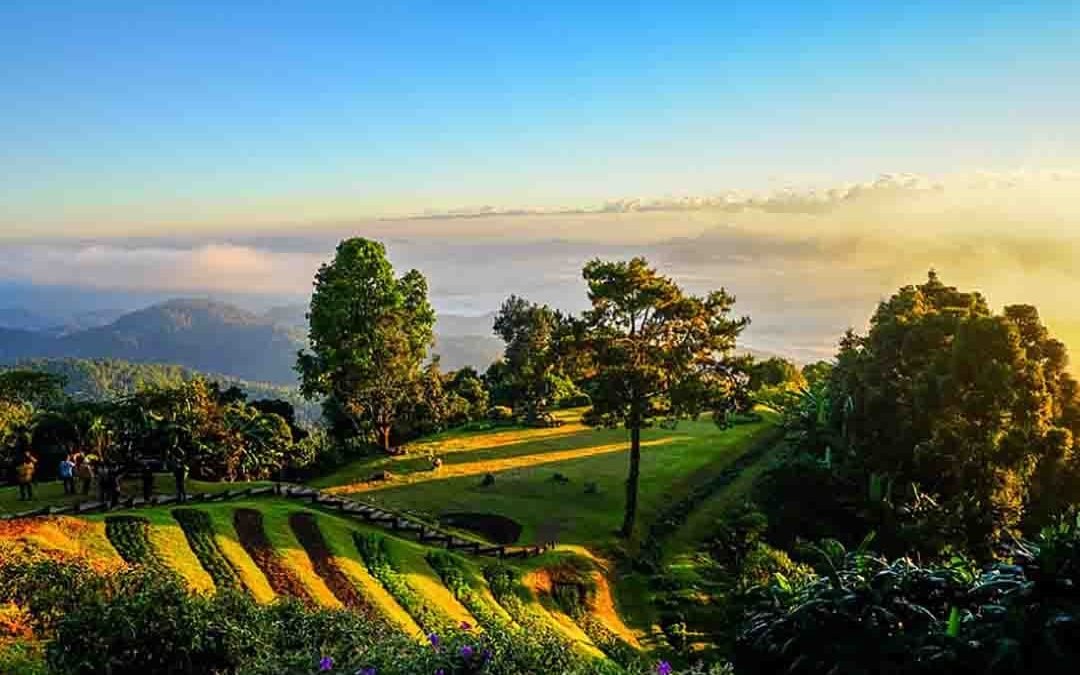 HUI NAM DANG<br/> VIEWPOINT