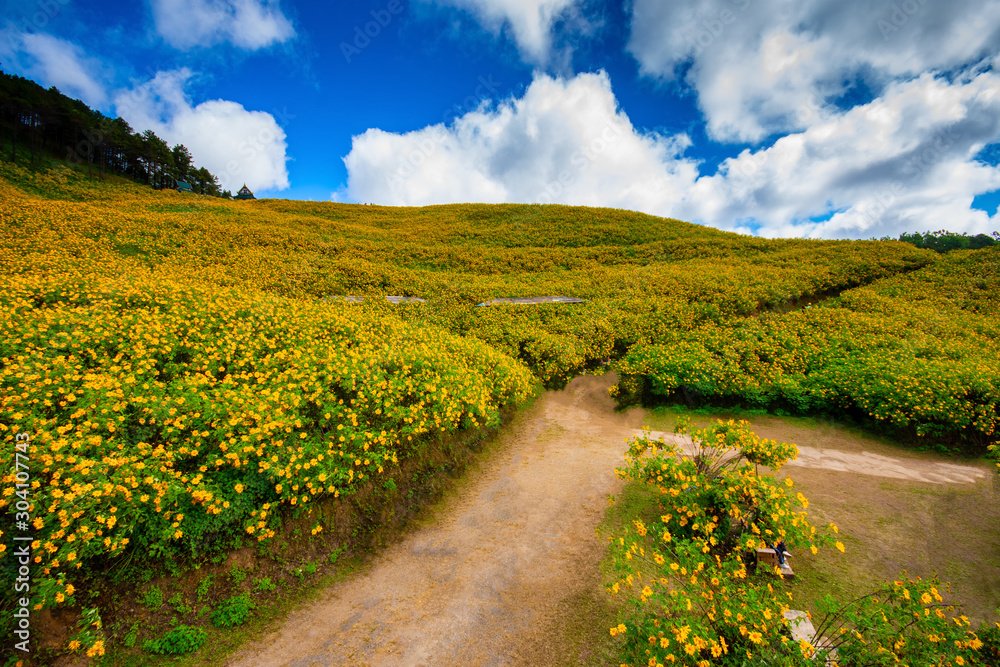 THUNG BUA TONG<br/> FIELDS