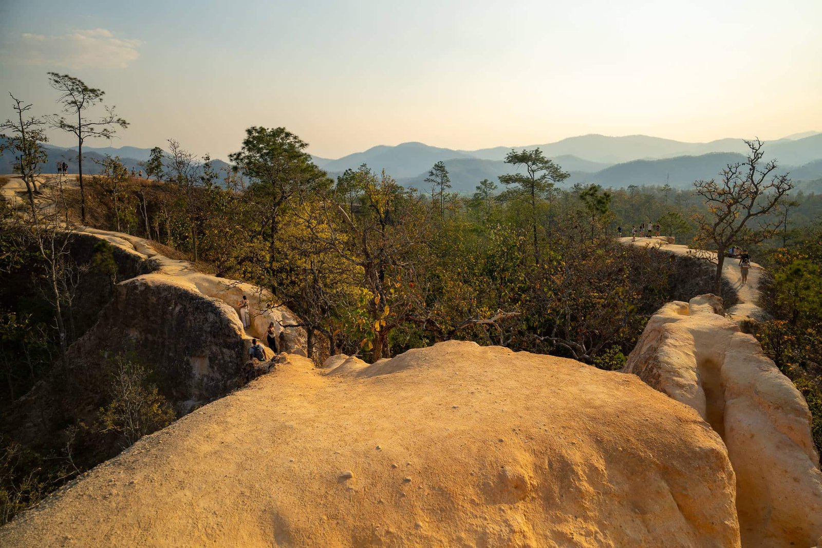 PAI CANYON