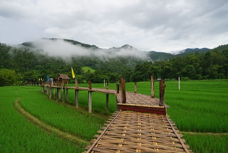 BOON KO KU SO<br/> BAMBOO BRIDGE