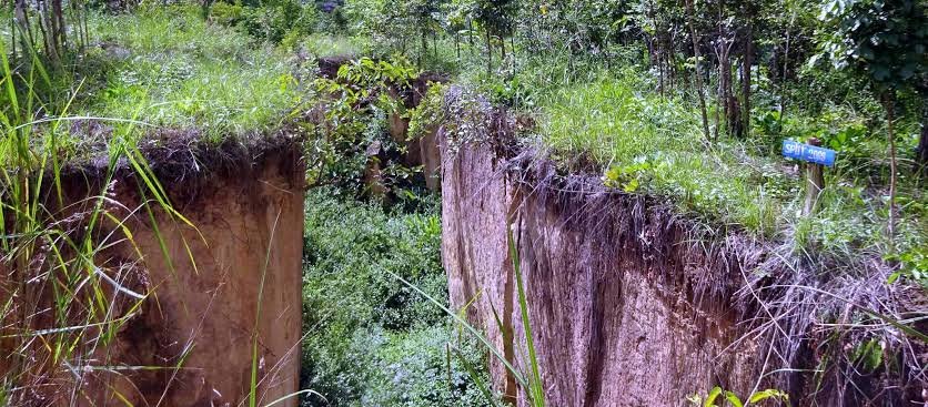 Land Split Pai Thailand